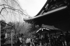 外人しかいない日本