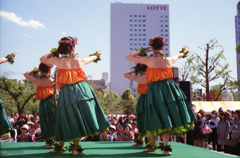 美しきハワイアン