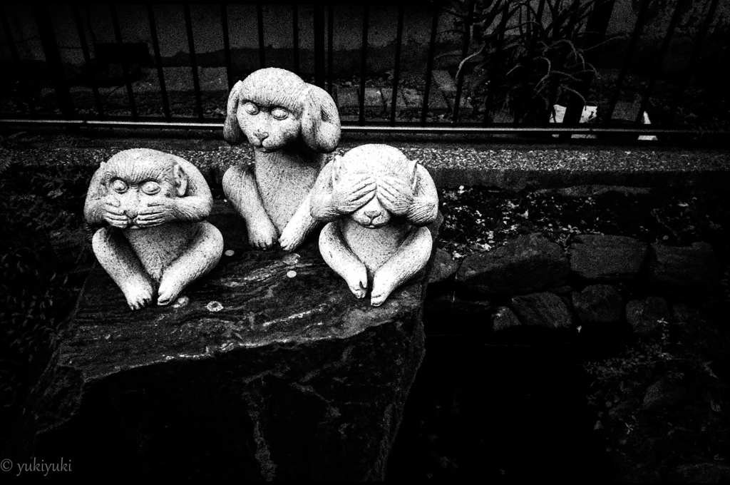 人は全てでもあり、全てでもない