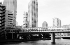 yokohama フィルム