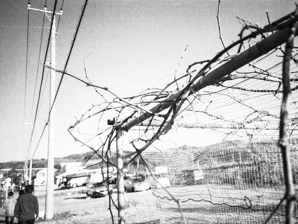 イチゴ食った後