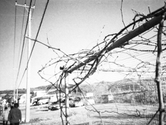 イチゴ食った後