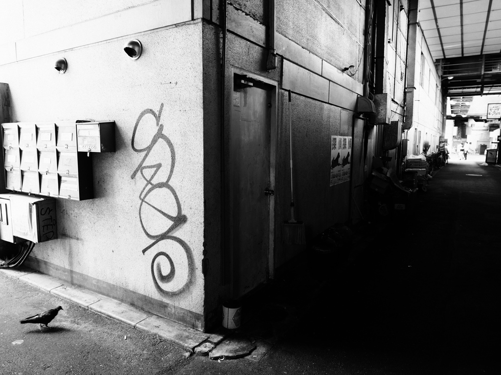 お前の名は「鳩」