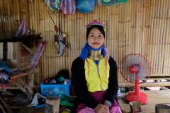 首長族は美女だらけ