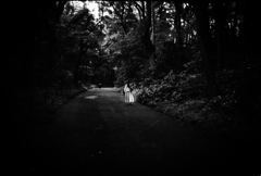 ミステリアスクィーン