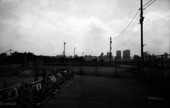 フェンスの向こうのアメリカ