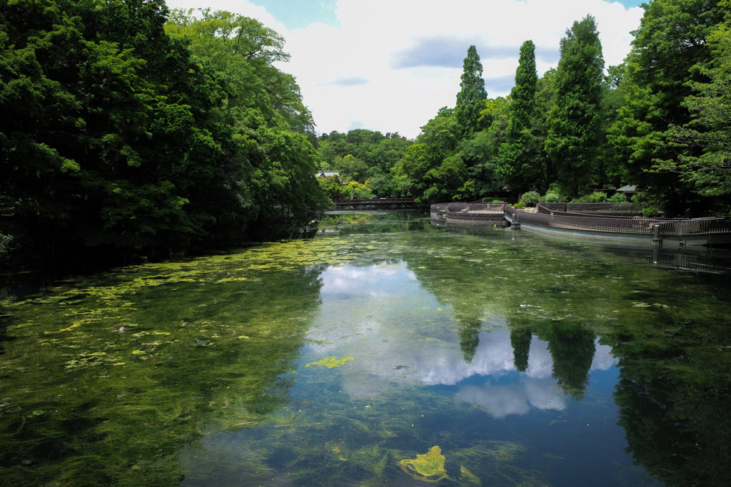 思い切り空気を吸ってみた