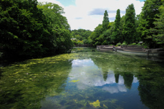 思い切り空気を吸ってみた