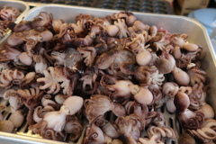 タコ焼きのタコ