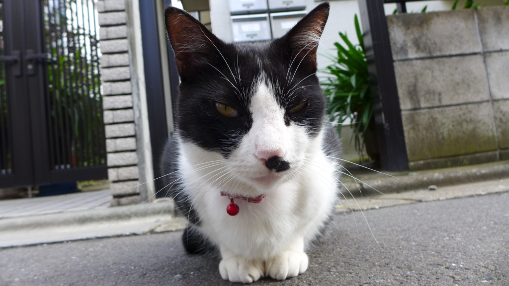 仲良くなった