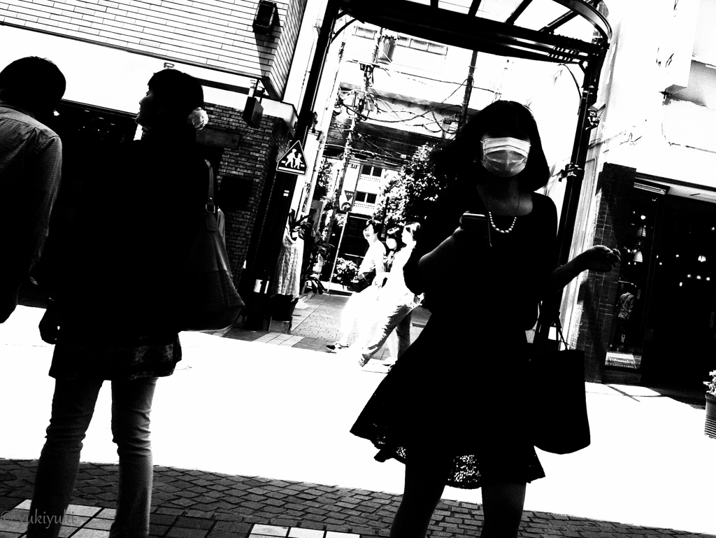 ナビ