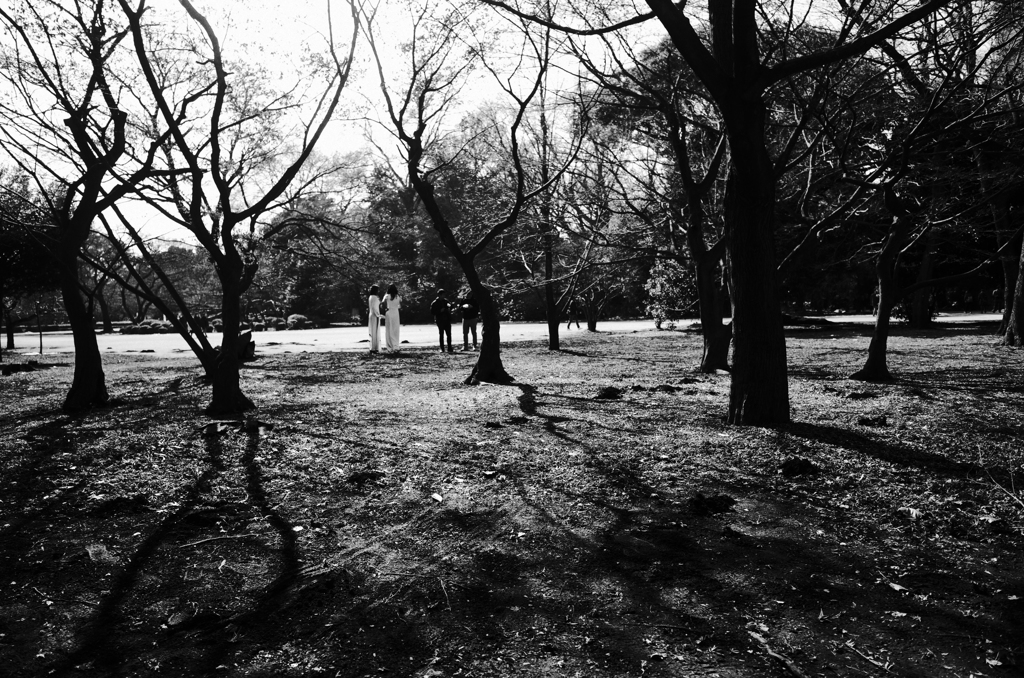 白い女達、黒い男達