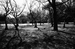 白い女達、黒い男達