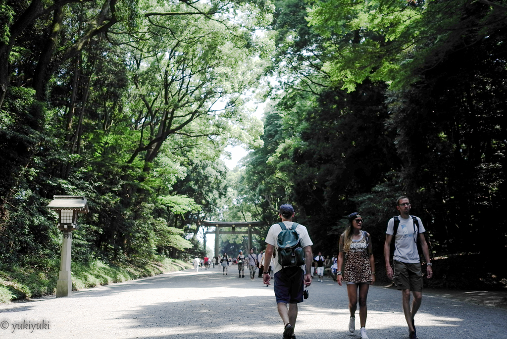 夏の参拝