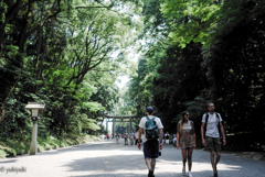 夏の参拝