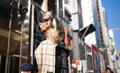 銀座のオホホ