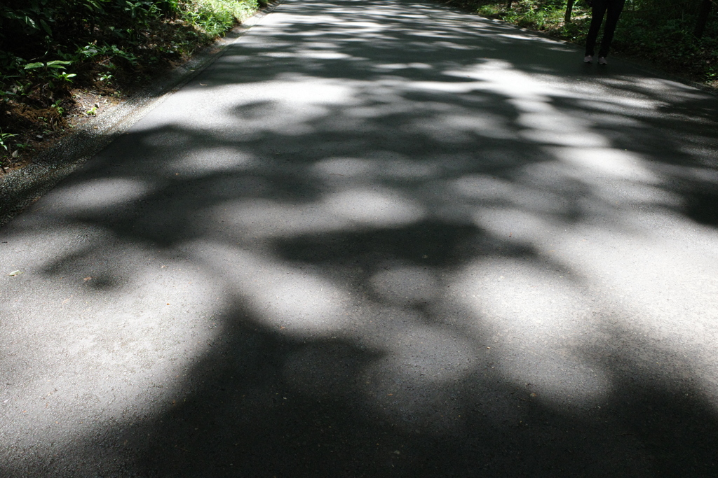 行くところコロナだらけ