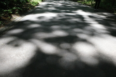 行くところコロナだらけ