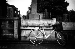 夏は墓地へ行け