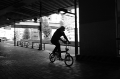 サイクリングヤッホー　