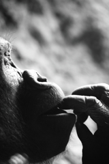 鼻くそを食べた日