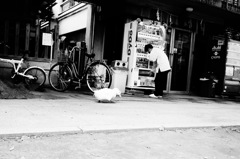 日常に溶け込んだ