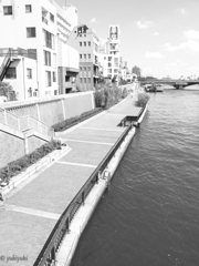 夏のうららの隅田川