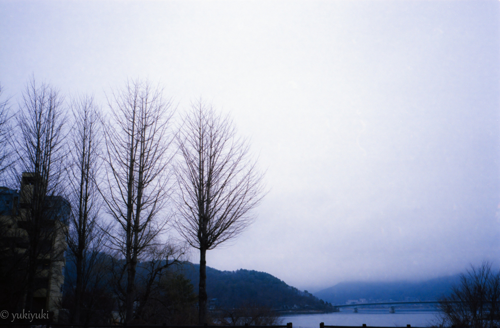 鳥が鳴いた時、不気味だった