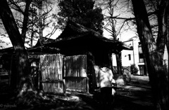 この子の七つのお祝いに