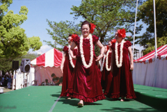 君は見たか、あの究極の美を