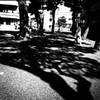 横切った女