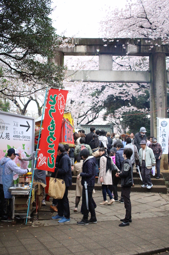 ここでトウモロコシ買った