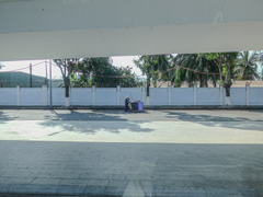 ベトナムにて孤高の人