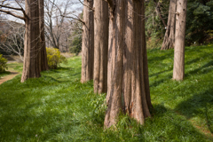 ファンタジー的な