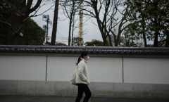 ぶらりと・・・