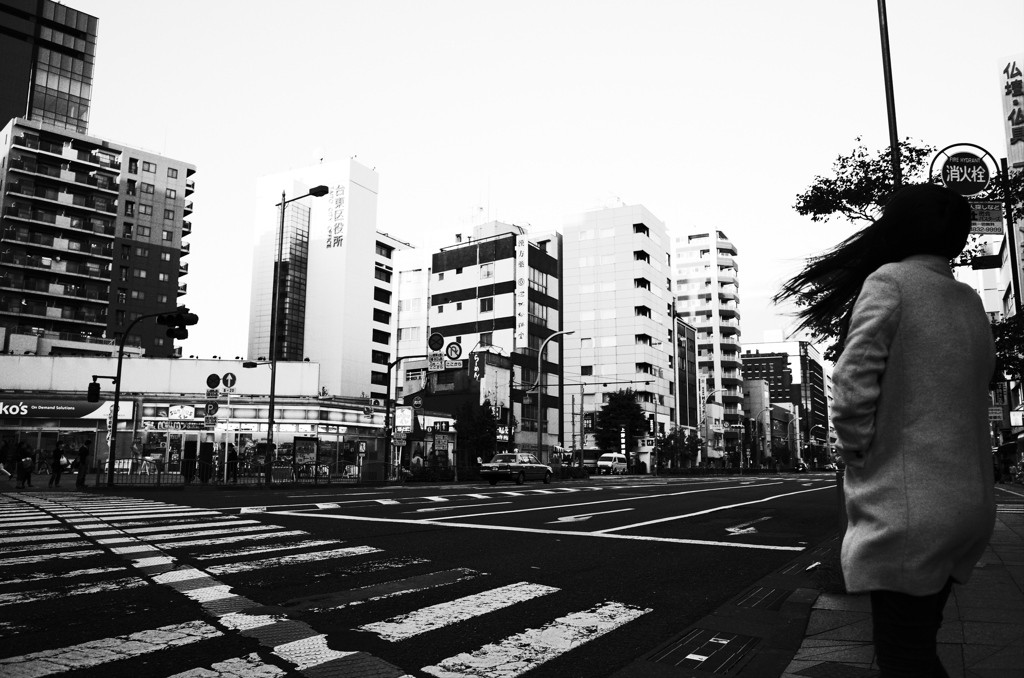 強風のイタズラ