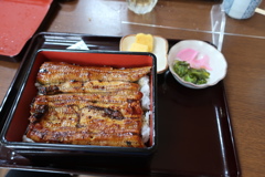 緊急事態うなぎ