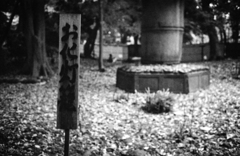 お化けを探しに