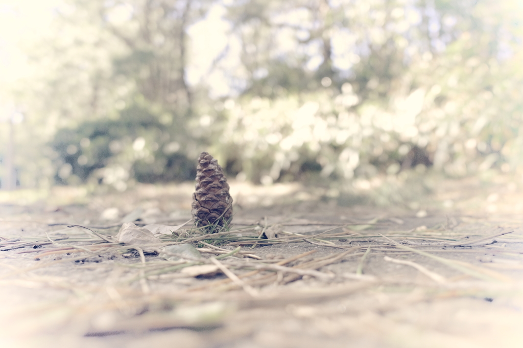 男ならこの位は立て