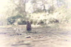 男ならこの位は立て