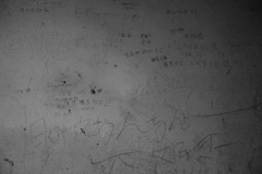 狂　じっくり見れる写真