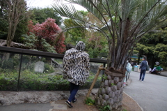 トラか？トリか？