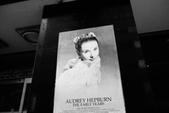 北越物語　北のオードリー