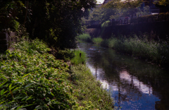 街道の川