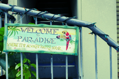 パラダイス