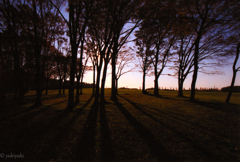 ある日のエンディング