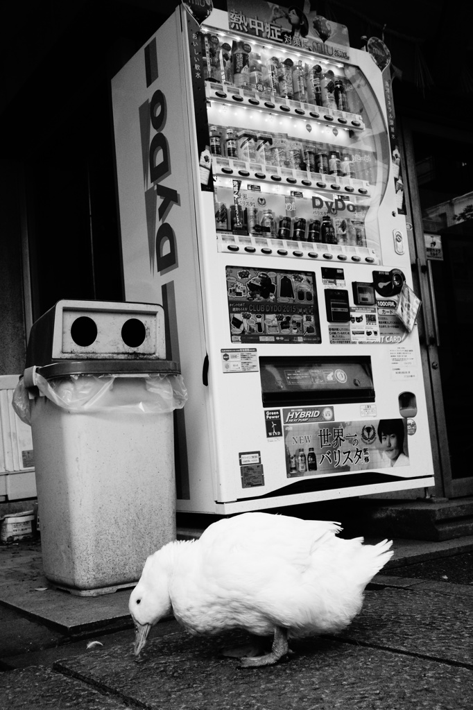 究極のポートレート