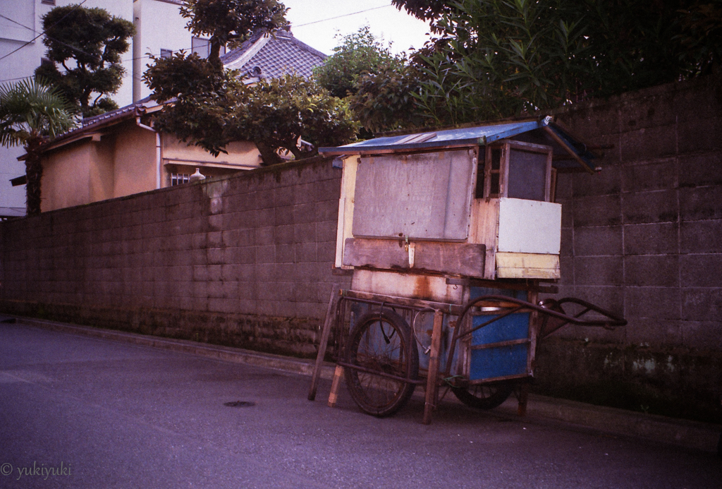 特別駐車を許可する