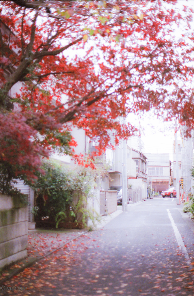 あれは小さな秋だった