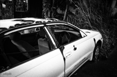 東海物語　崩壊